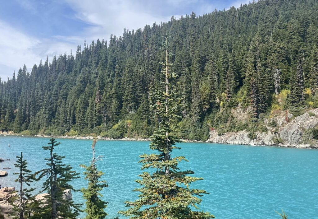 Garibaldi Lake with trees 