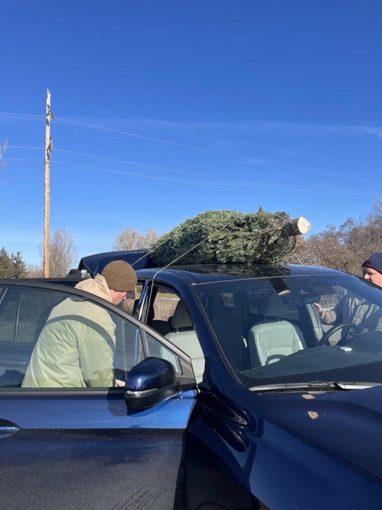 Picking up Christmas Tree